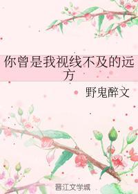 你曾是我视线不及的远方封面