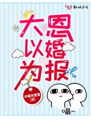 大恩以婚为报封面