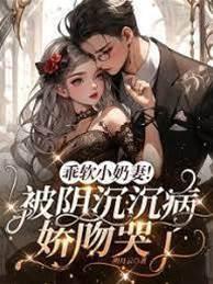 乖软小奶妻！被阴沈沈病娇吻哭了封面