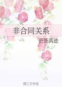 非合同关系封面