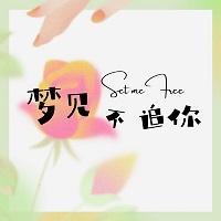做梦梦见不追你了封面