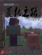 我的世界——复仇之路封面