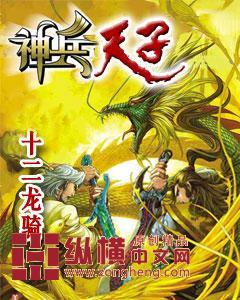 神兵天子封面