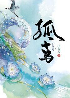 孤鸢封面