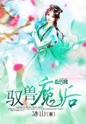 驭兽魔后封面