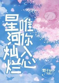 星河灿烂 唯你入心封面