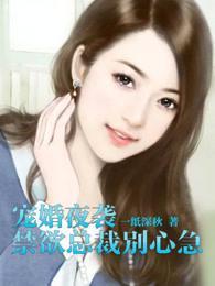 宠婚夜袭：禁欲总裁别心急封面