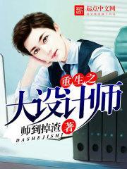 重生之大设计师封面
