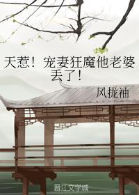 天惹！宠妻狂魔他老婆丢了！封面