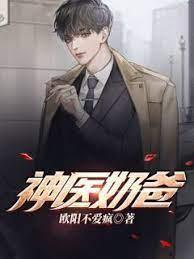 神医奶爸封面
