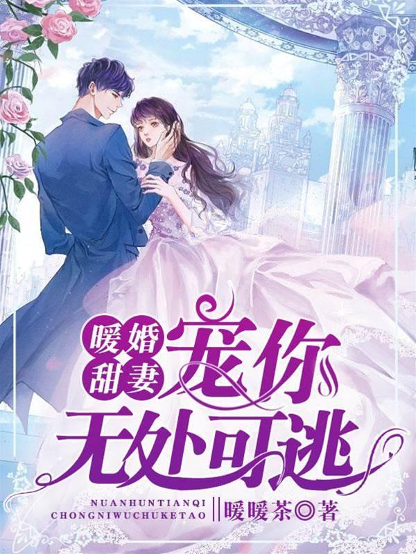 暖婚甜妻：宠你无处可逃封面