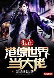 混在港综世界当大佬封面