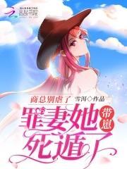 商总别虐了，罪妻她带崽死遁了封面