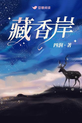 藏香岸封面