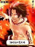 海贼之红莲大将封面