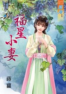 福星小妻封面