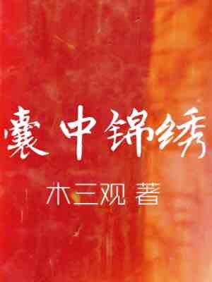 囊中锦绣封面