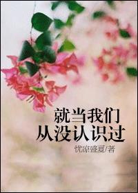 就当我们从没认识过封面