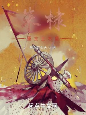 朱棣重生土木堡封面
