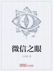 微信之眼封面