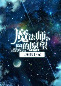 [综]魔法师的愿望封面