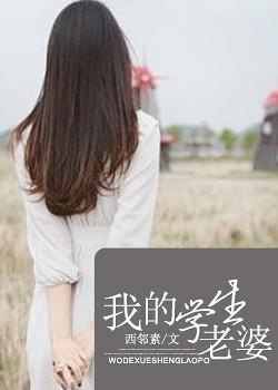 我的学生老婆封面