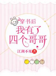 铿锵红颜之风行天下h封面