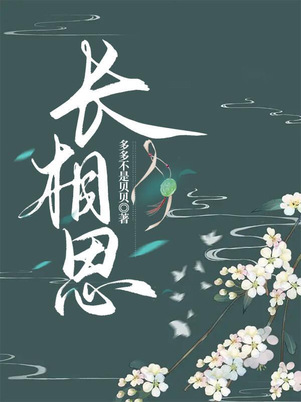 长相思封面
