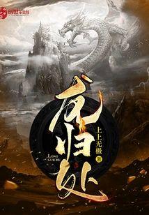 龙归处封面