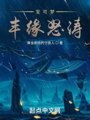 宝可梦：丰缘怒涛封面