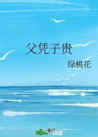 父凭子贵封面