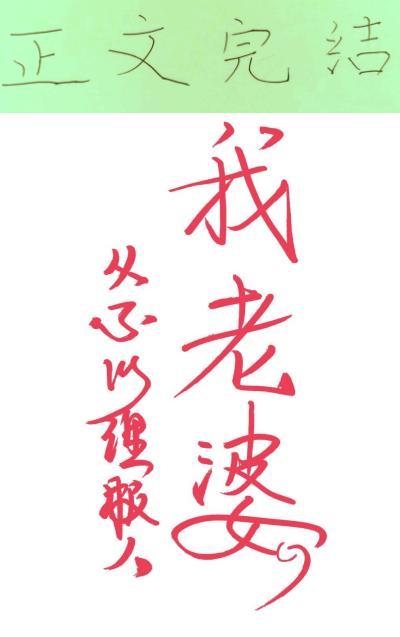 九十年代好丈夫封面