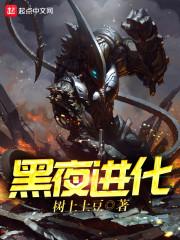 黑夜进化封面