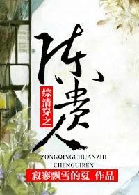 综清穿之陈贵人封面
