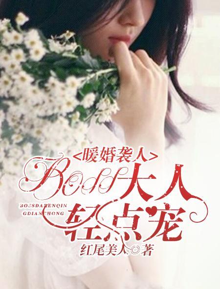 暖婚袭人：BOSS大人轻点宠封面