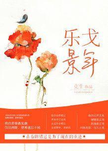 乐戈景年封面