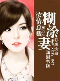 浓情总裁糊涂妻封面