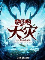无限之天灾封面