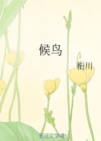 候鸟封面