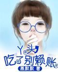丫头，吃了别赖账封面