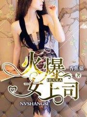 火爆女上司季晨李诗蓝封面