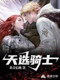 天选骑士封面