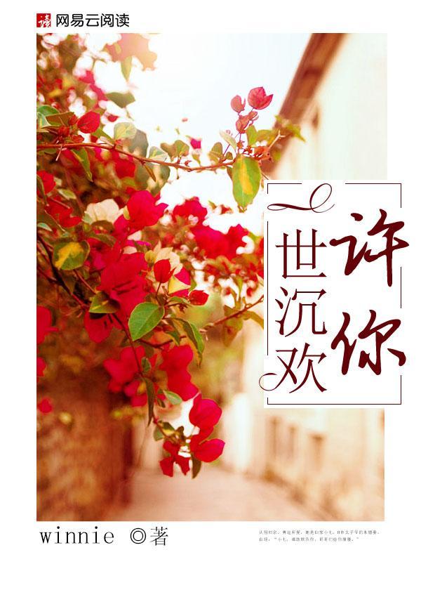 许你一世沈欢封面
