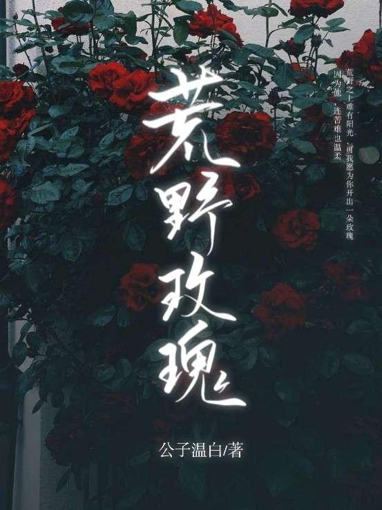 荒野玫瑰封面