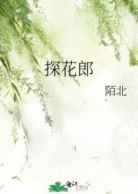 探花郎封面