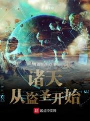 诸天从盗圣开始封面