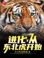 进化，从东北虎开始封面
