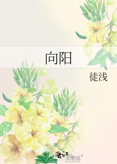 向阳封面