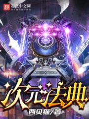 次元法典小说娃封面