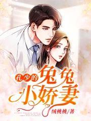 孔少的兔兔小娇妻封面